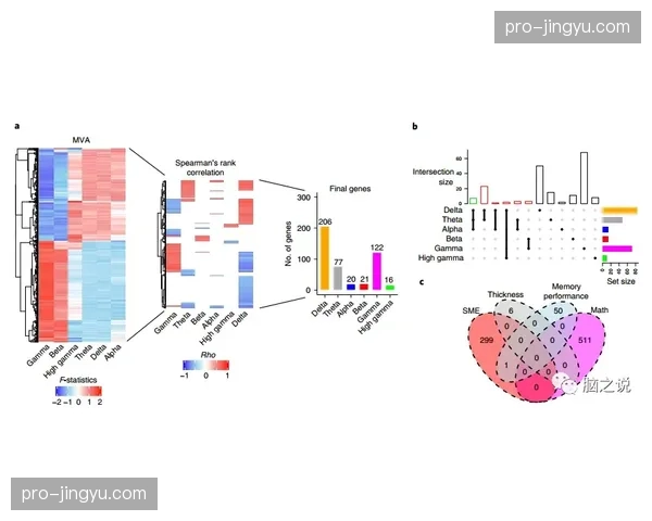 5G专网切片技术在场馆端深度部署 支撑起当前阶段更多机位信号实时回传